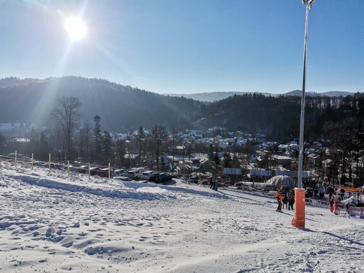 Willa Katarzynka Wisla Bagian luar foto