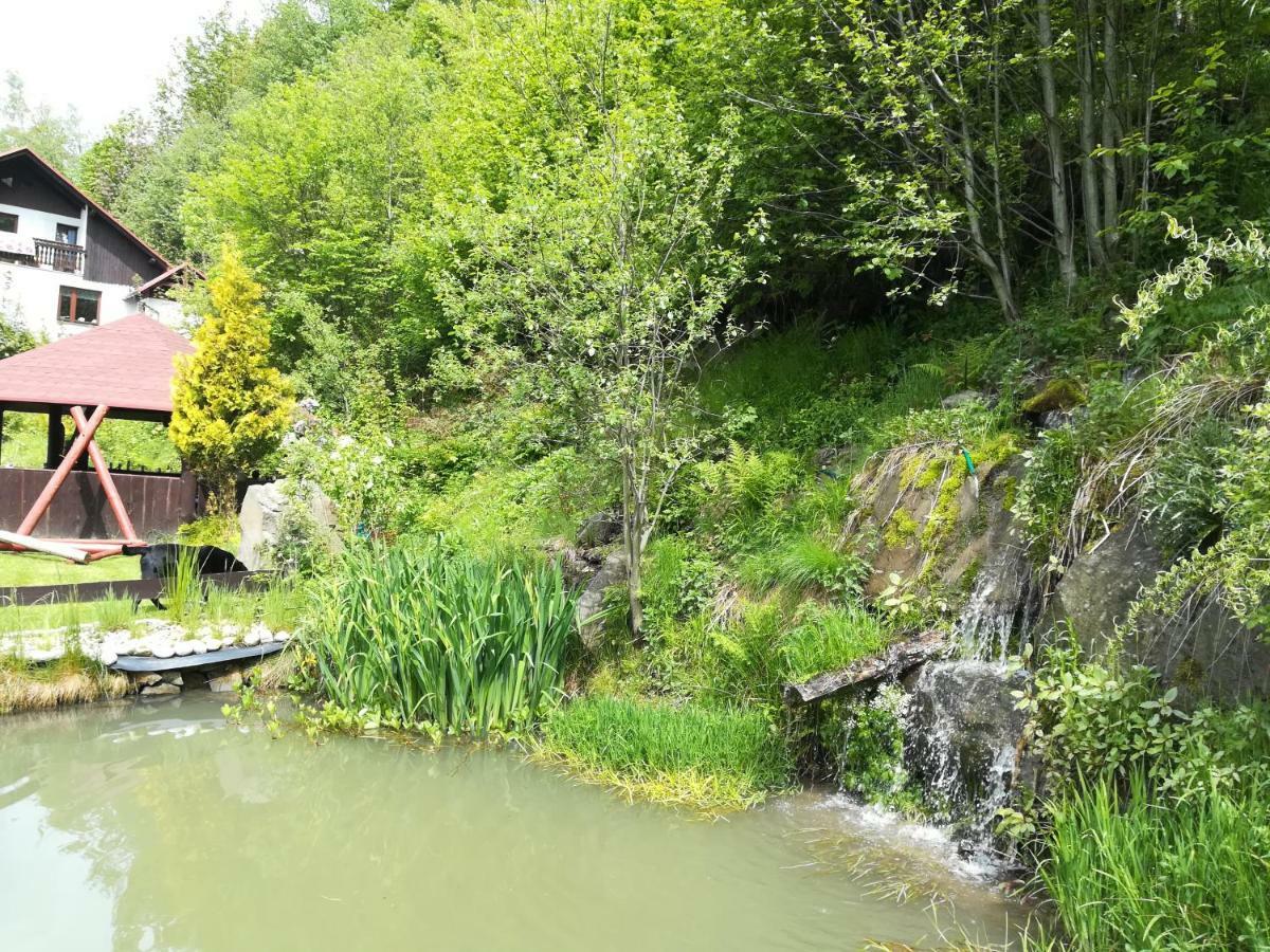 Willa Katarzynka Wisla Bagian luar foto